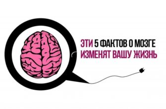 Эти 5 фактов о мозге изменят вашу жизнь:
