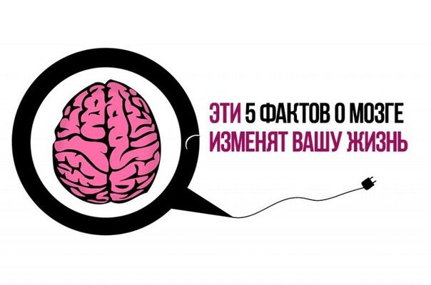 Эти 5 фактов о мозге изменят вашу жизнь: 