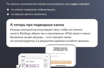 Может ли самозанятый аннулировать ошибочно сформированный чек?